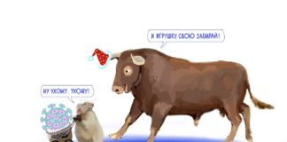 Что обещают звезды читателям Новости недвижимости: гороскоп на 2021